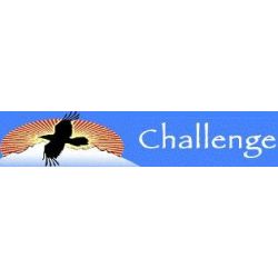 Logo for Challenge Alaska Adaptive Ski and Snowboard Logo for Challenge Alaska Adaptive Ski and Snowboard
