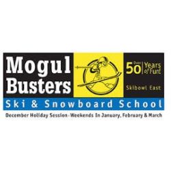 Logo for Mogul Busters Logo for Mogul Busters